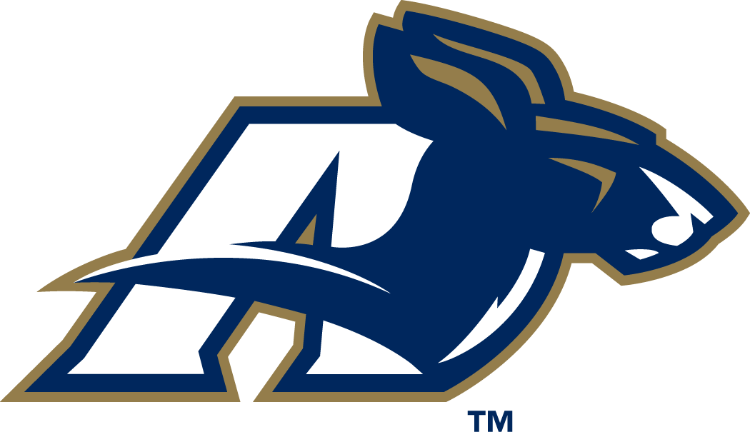 Akron Zips 2002-2007 Secondary Logo vinyl decal